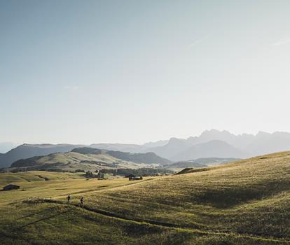 006-sam-trailrunning-kottersteger-250710-dji-0772-129