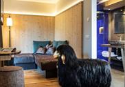 Living room and bath room Studio Alpin