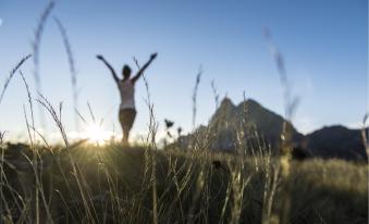 Yoga in der Natur