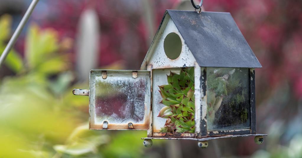 Little house with a plant