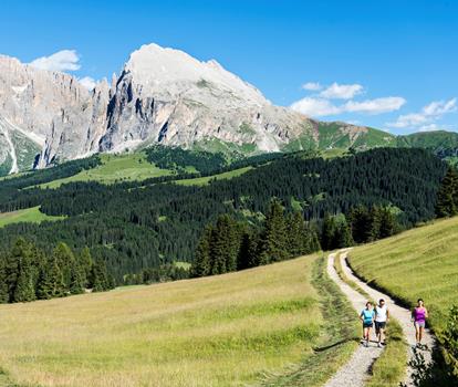 Summer activity Trail Running