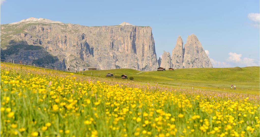 Alpe di Siusi