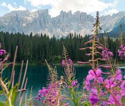 Karersee Lake