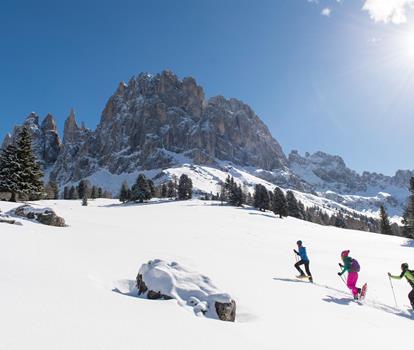 Schneeschuhwanderung Gruppe