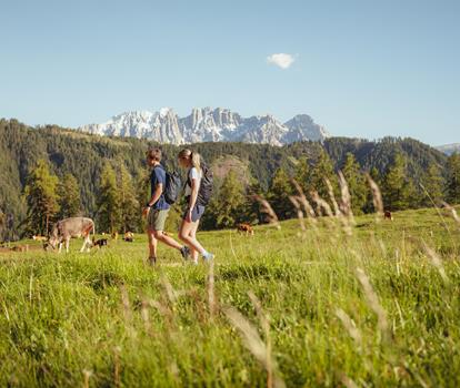 tveggental-sommer2025-thomasmonsorno-1320639-res-57