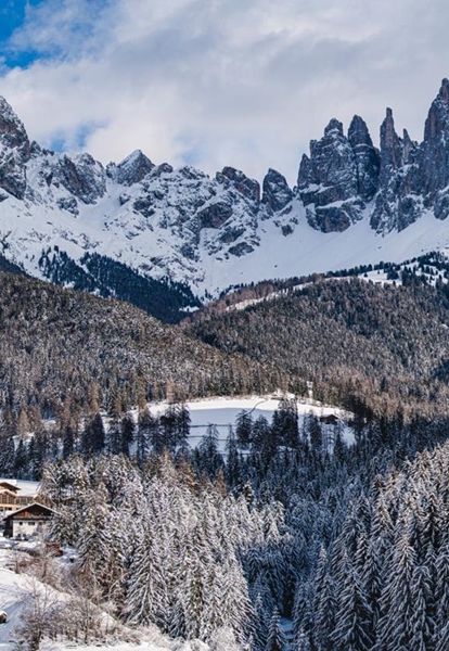 Tiers am Rosengarten im Winter