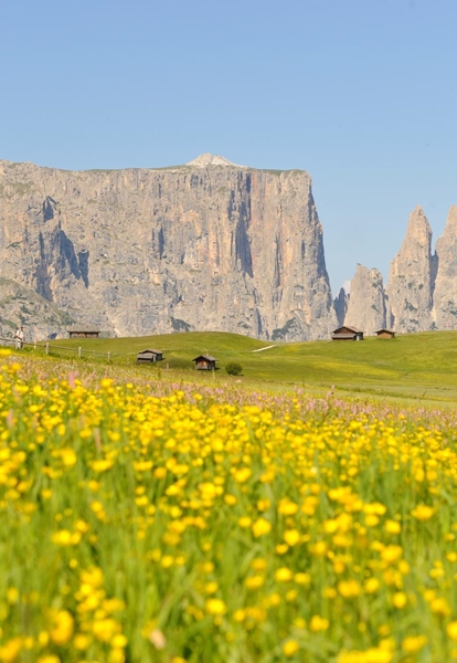 Alpe di Siusi