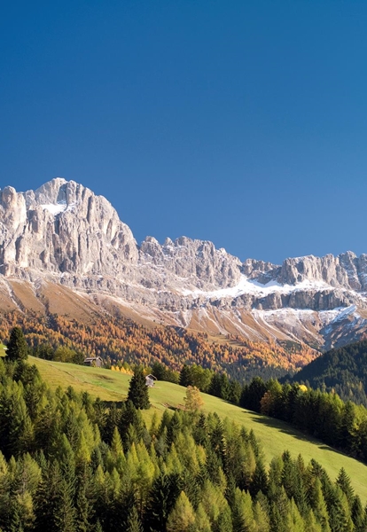 Rosengarten mit Schnee