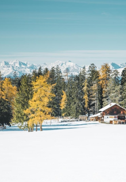 natur-winter-hu-tte-carezza-ski-panorama