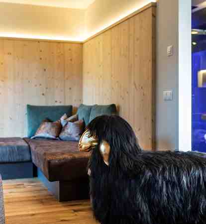 Living room and bath room Studio Alpin