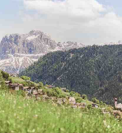 sam-fru-hlingsbilder-nachbearbeitet-roschanfill-73